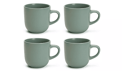 Habitat Matte Mug 4Pk Green