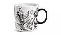 Habitat Monochrome Decal 4Pk Mugs Habitat Monochrome Decal 4Pk Mugs