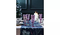 Habitat Plum Pressed Champagne Glass 4 Habitat Plum Pressed Champagne Glass 4