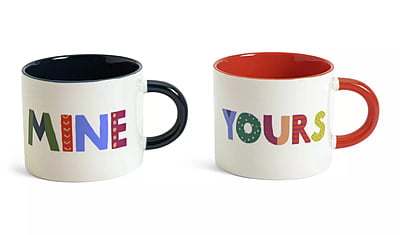 Habitat Mine N Yours 2Pk Mugs Brights