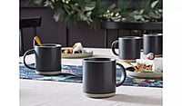 Habitat Matte Raw Edge Mug 4Pk Habitat Matte Raw Edge Mug 4Pk