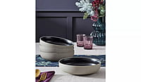 Habitat Matte Raw Edge Pasta Bowl 4Pk Habitat Matte Raw Edge Pasta Bowl 4Pk