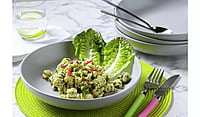 Bright Matte Grey Pasta Bowl 4Pk Bright Matte Grey Pasta Bowl 4Pk
