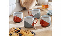 Habitat Dipped Speckle Mug 4Pk Habitat Dipped Speckle Mug 4Pk