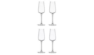 Habitat Apple Champagne Flute 4Pk