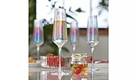 Habitat Iridescent Lustr Flute Champ 4Pk Habitat Iridescent Lustr Flute Champ 4Pk