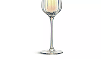 Habitat Iridescent Lustre Set of 4 Champagne Flute Habitat Iridescent Lustre Set of 4 Champagne Flute